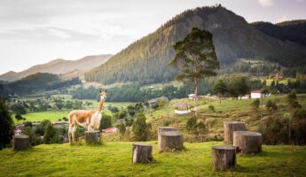 Huambocancha y Granja Porcón | La ruta de la naturaleza y el misticismo
