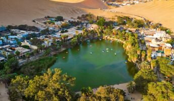 Full Day Paracas- Ica clásico | Privado