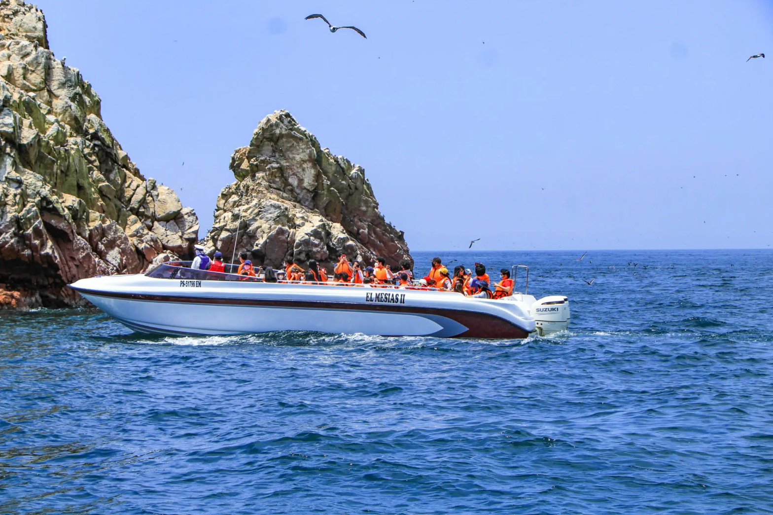 Full Day Paracas- Ica clásico | Privado