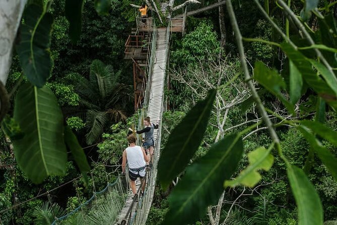 Tour Tambopata 2 días/1 noche Tour Tambopata 2 días/1 noche